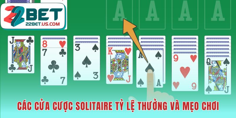 Cửa cược solitaire đa dạng với tỷ lệ thưởng hấp dẫn