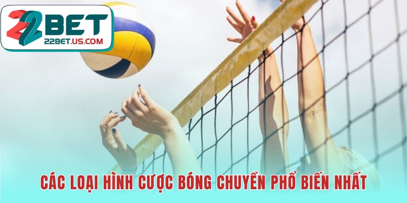 Các loại cược bóng chuyền phổ biến từ dễ đến phức tạp