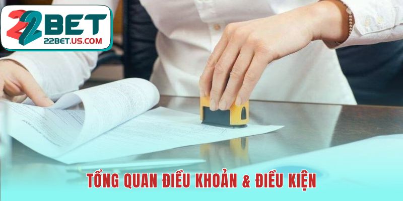Điều khoản sử dụng 22BET xây dựng nền tảng pháp lý minh bạch