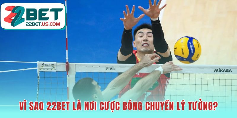 Nơi cược bóng chuyền lý tưởng với giải đấu đa dạng và kèo tốt
